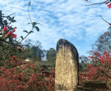 乐山海棠职业学校图片