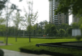 成都翰林学校图片