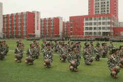 乐安岳实验中学(职教部)图片