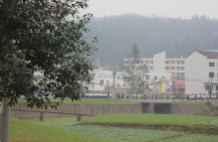 剑阁县武连职业中学图片