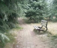 广元市朝天职业中学图片