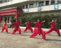 广安康泉文化武术学校图片
