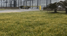 德阳川江机电职业学校图片