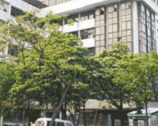 德阳富丽达服装技术专修学校图片