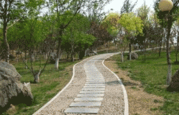 大竹县石子职业中学图片