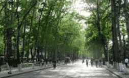 大竹县中峰职业技术学校图片