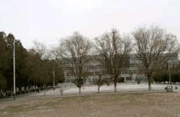 大竹县中峰职业技术学校图片