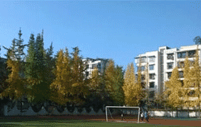 崇州电子职业技术学校图片