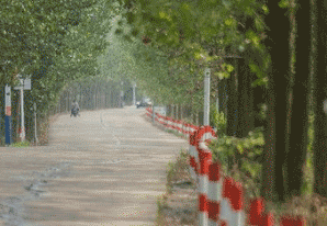 成都电焊机厂技工学校图片