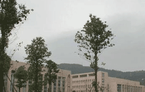 巴中柳江学校图片