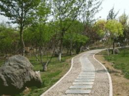 达州大竹县中峰职业技术学校图片