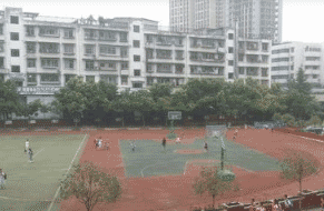 四川省蓬溪县中等职业技术学校图片