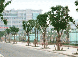 四川成都华西卫校图片