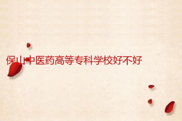保山中医药高等专科学校好不好