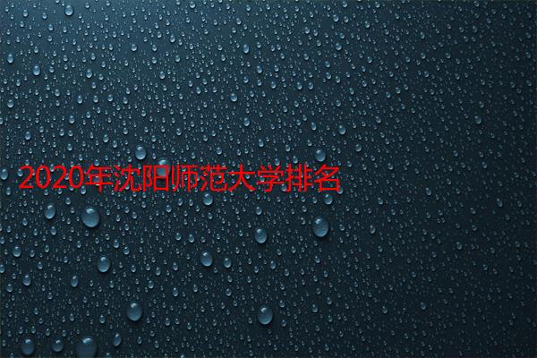 2020年沈阳师范大学排名