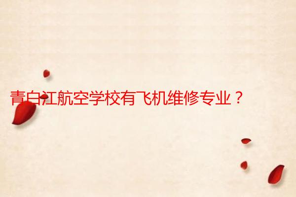 青白江航空学校有飞机维修专业？