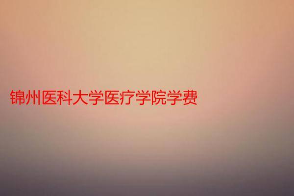 锦州医科大学医疗学院学费