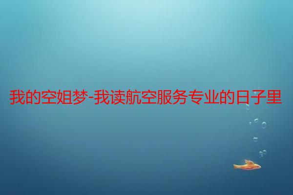 我的空姐梦-我读航空服务专业的日子里