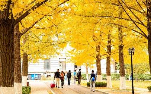 陕西艺术职业学院_2021招生简介