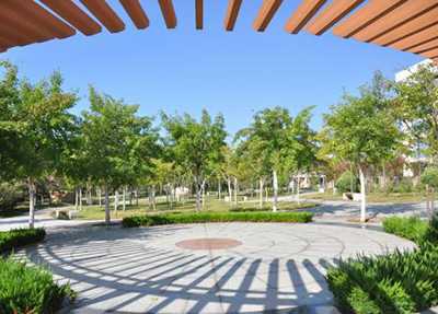 éä¸­å¹¼å¸å¸èå­¦æ ¡