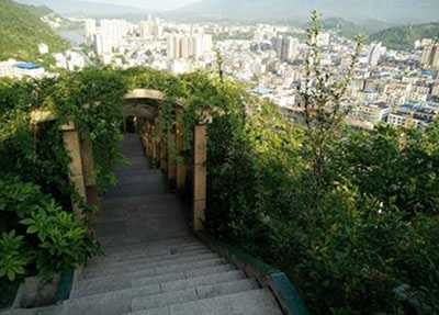 åå·çå¹¿åå¸èä¸é«çº§ä¸­å­¦æ ¡