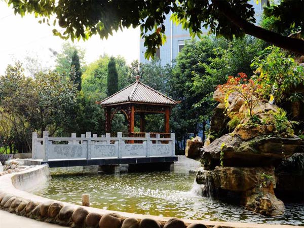 成都华大医药卫生学校校园环境 成都华大医药卫生学校校园环境