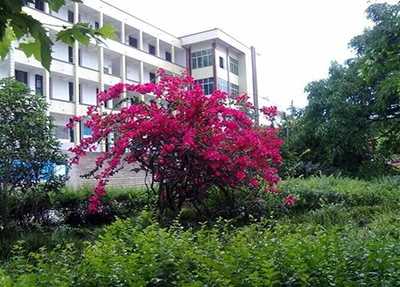 资阳口腔职业学院