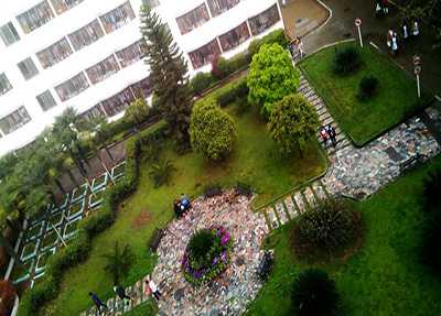 å·åå»å­¦é¢éå±å»é¢æ¤å£«å­¦æ ¡