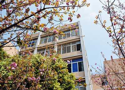 å®å®¾èä¸ææ¯å­¦é¢