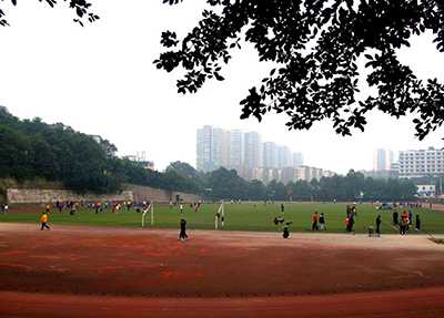 å®å®¾å­¦é¢