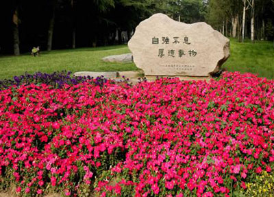 棠湖科学技术学校有助学金是多少 棠湖科学技术学校有助学金是多少