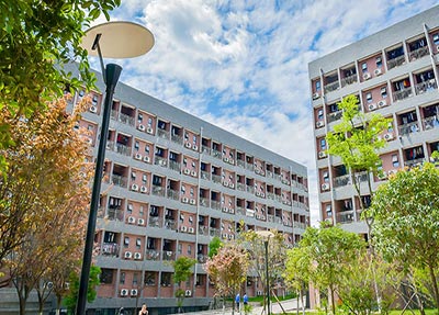 乐观向上的心态 乐观向上的心态