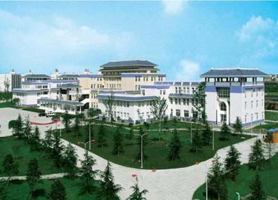 对人才的需求量