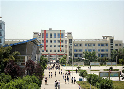 全日制公办学校