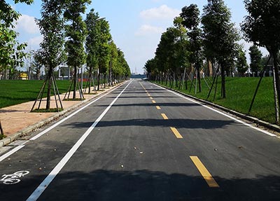 院内环境 院内环境