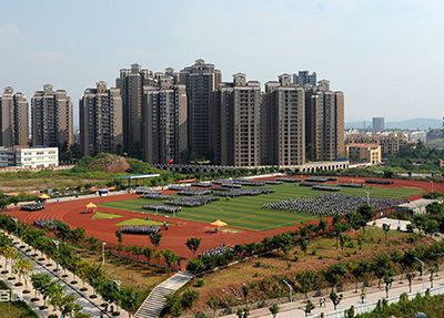 å­¦æ ¡æåº