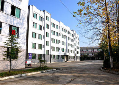 地址在哪里 地址在哪里