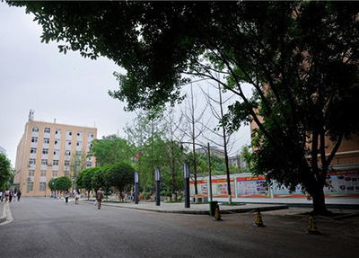 成都格外艺术学校专业