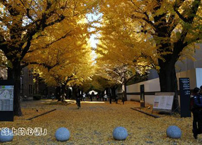 校园风景4.jpg 校园风景4.jpg