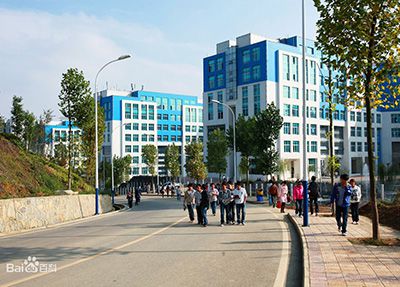 航空乘务专业招生要求