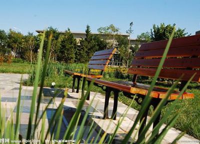 æ ¡å­é£æ¯