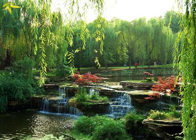 éåºæ±æ´¥èä¸å¦é¢ éåºæ±æ´¥èä¸å¦é¢