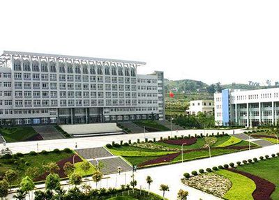 发展历程 发展历程