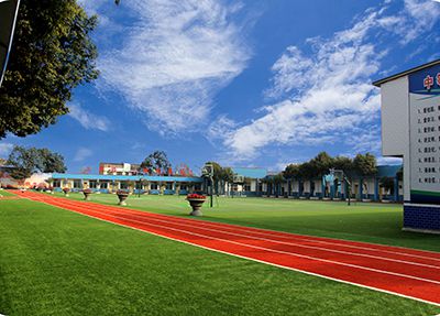 本校学生对食堂宿舍评价