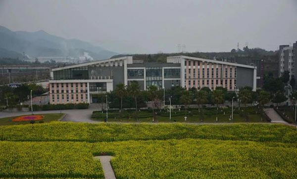重庆商务职业学院黄色花海