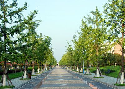 é¶æå¤§é