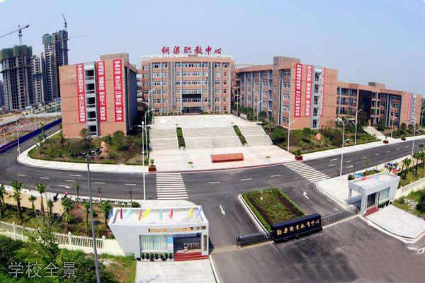 重庆市铜梁职业教育中心学校全景