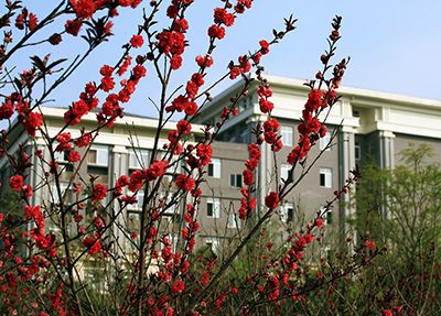 四川省电子商务学校包分配吗 教学条件如何