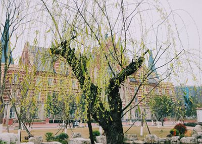 四川省绵阳市艺术学校到底好不好