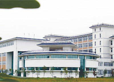 经济利益 经济利益